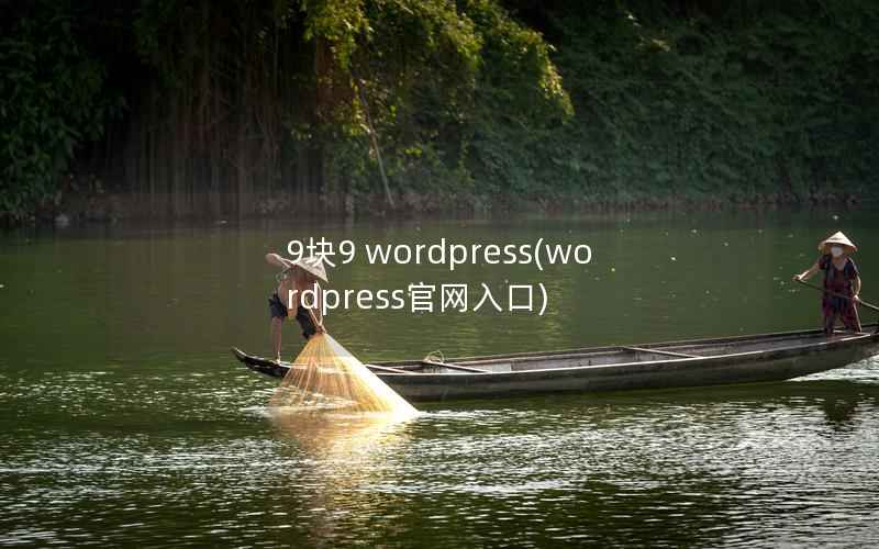 9块9 wordpress(wordpress官网入口)