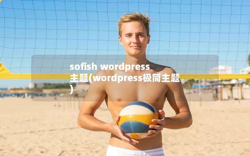 sofish wordpress主题(wordpress极简主题)