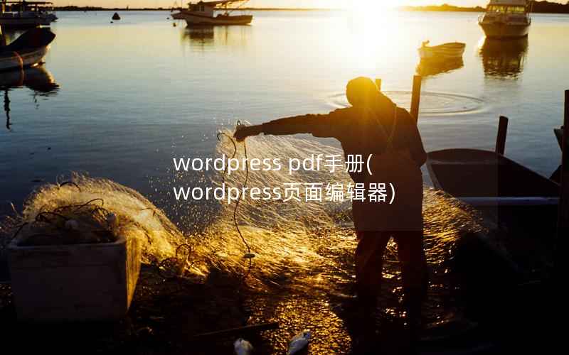 wordpress pdf手册(wordpress页面编辑器)