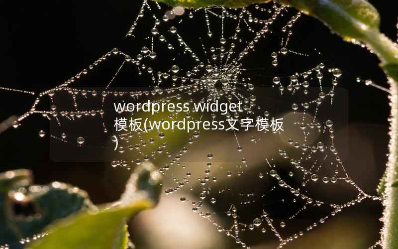 wordpress widget 模板(wordpress文字模板)
