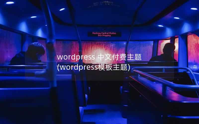wordpress 中文付费主题(wordpress模板主题)
