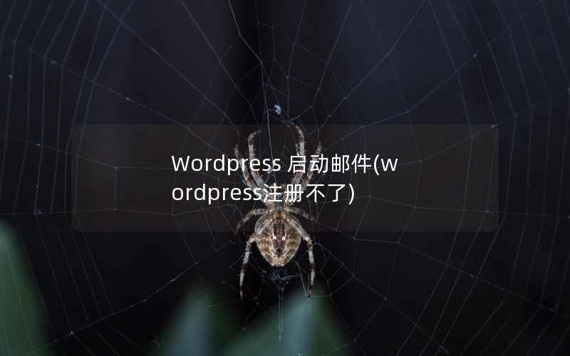 Wordpress 启动邮件(wordpress注册不了)