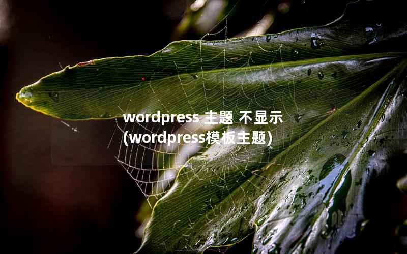 wordpress 主题 不显示(wordpress模板主题)