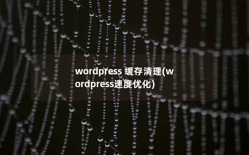 wordpress 缓存清理(wordpress速度优化)