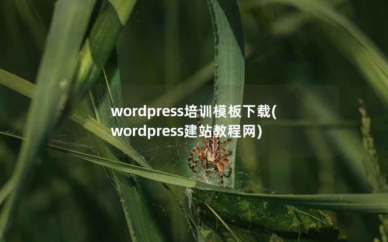 wordpress培训模板下载(wordpress建站教程网)