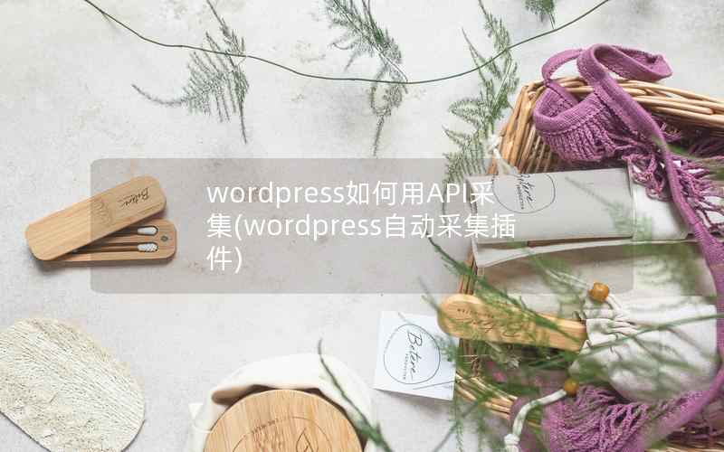 wordpress如何用API采集(wordpress自动采集插件)