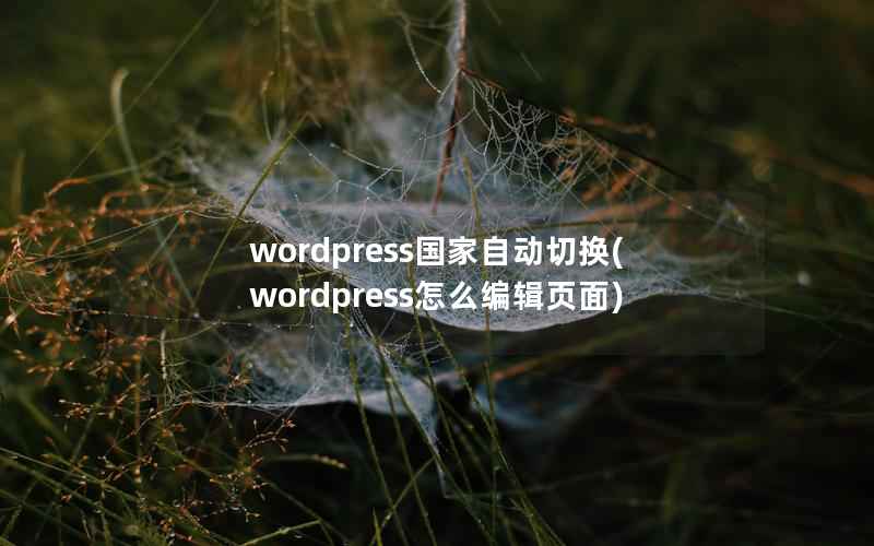 wordpress国家自动切换(wordpress怎么编辑页面)