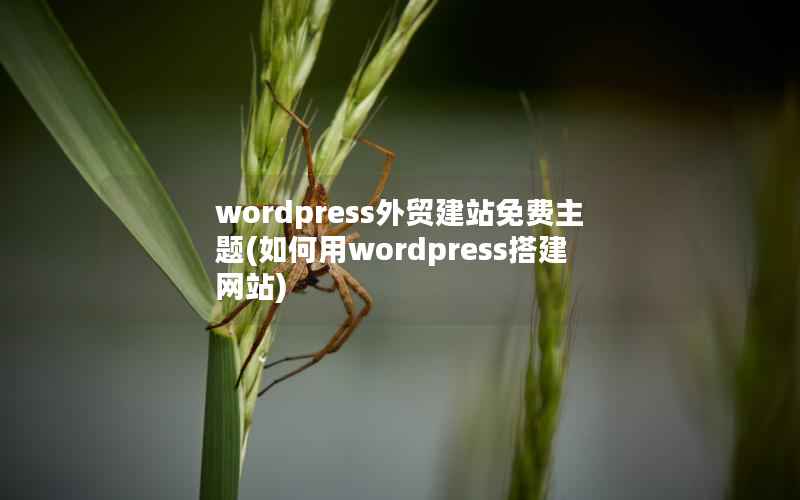 wordpress外贸建站免费主题(如何用wordpress搭建网站)