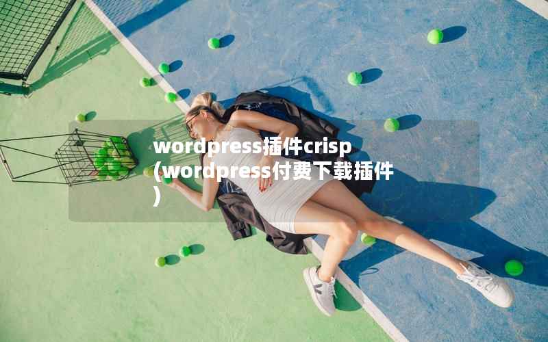 wordpress插件crisp(wordpress付费下载插件)