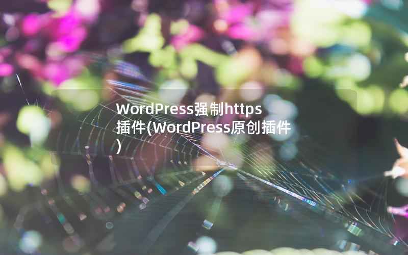WordPress强制https插件(WordPress原创插件)