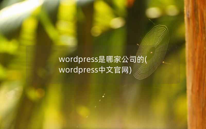 wordpress是哪家公司的(wordpress中文官网)