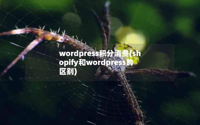 wordpress积分消费(shopify和wordpress的区别)