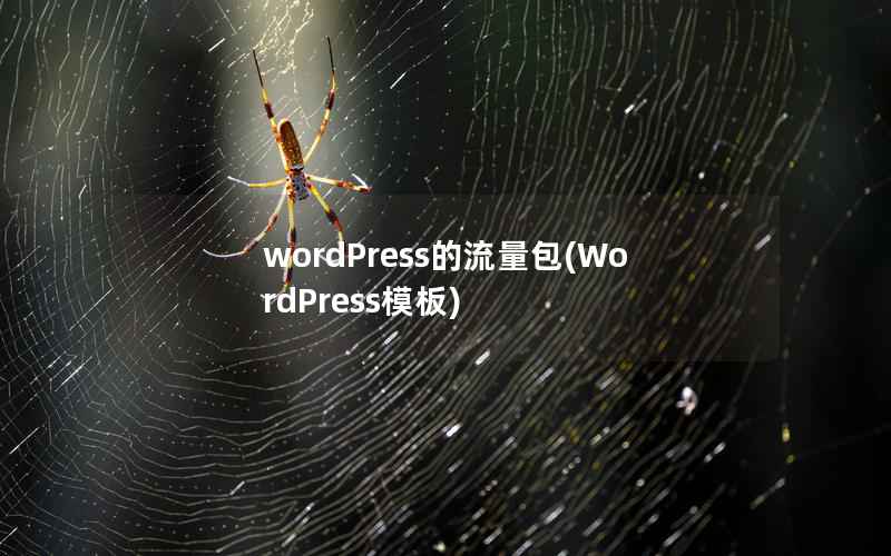 wordPress的流量包(WordPress模板)