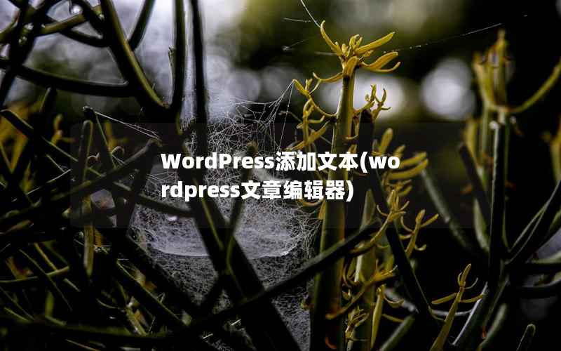 WordPress添加文本(wordpress文章编辑器)