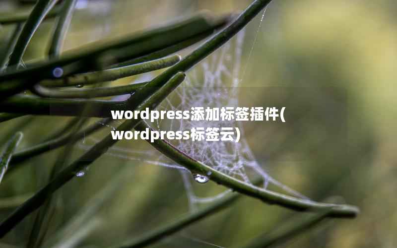 wordpress添加标签插件(wordpress标签云)
