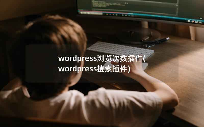 wordpress浏览次数插件(wordpress搜索插件)