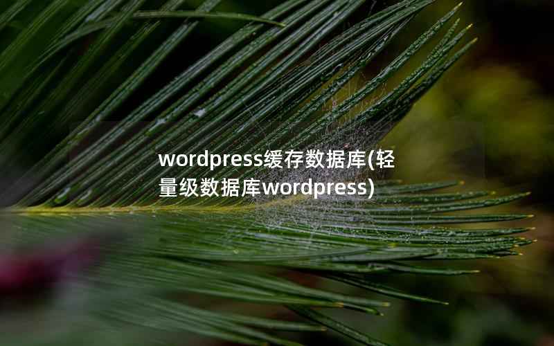 wordpress缓存数据库(轻量级数据库wordpress)