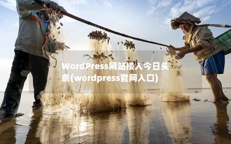 WordPress网站接入今日头条(wordpress官网入口)