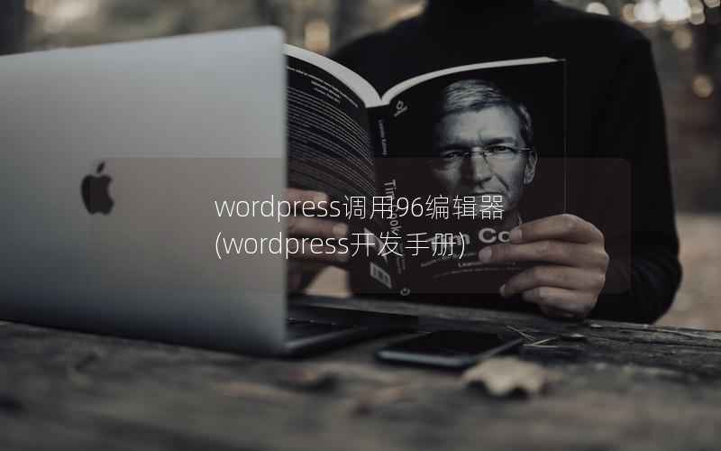 wordpress调用96编辑器(wordpress开发手册)