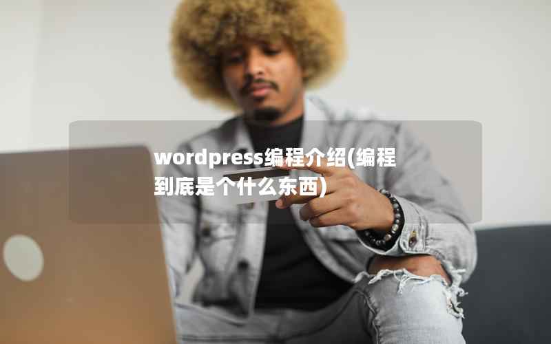 wordpress编程介绍(编程到底是个什么东西)