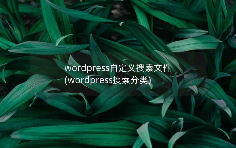 wordpress自定义搜索文件(wordpress搜索分类)