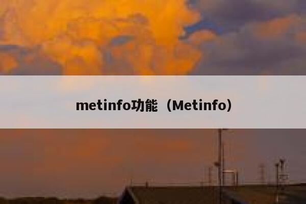 metinfo功能（Metinfo）