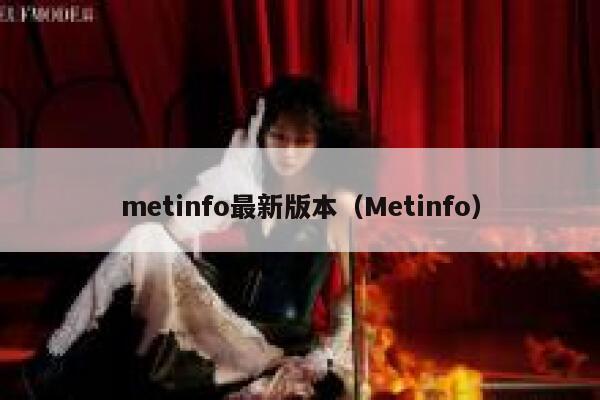 metinfo最新版本（Metinfo）