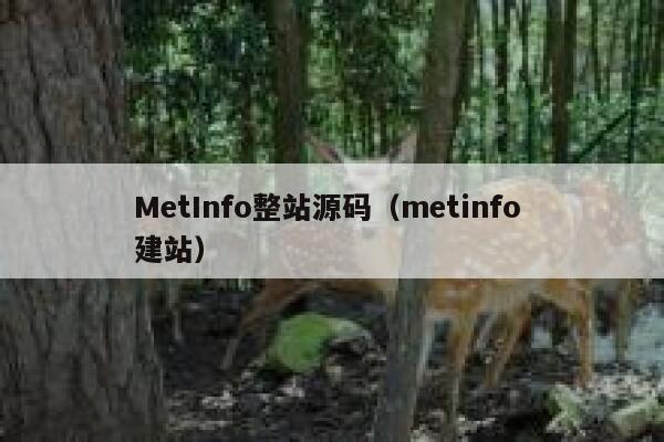 MetInfo整站源码（metinfo 建站）