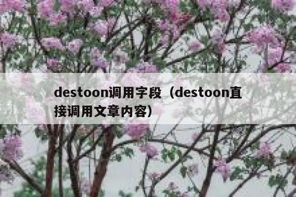 destoon调用字段（destoon直接调用文章内容）