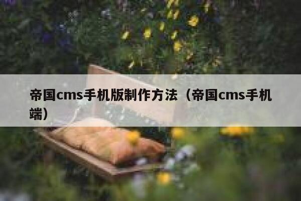 帝国cms手机版制作方法（帝国cms手机端）