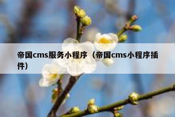 帝国cms服务小程序（帝国cms小程序插件）