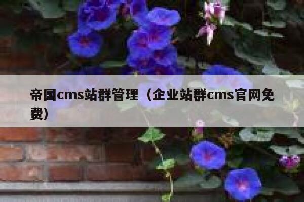 帝国cms站群管理（企业站群cms官网免费）