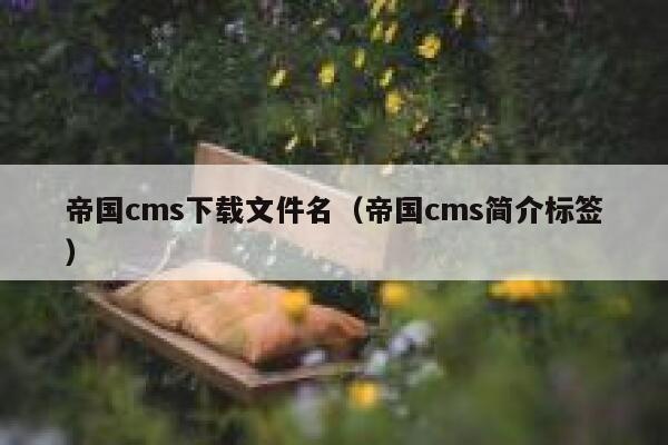 帝国cms下载文件名（帝国cms简介标签）