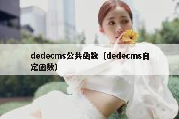 dedecms公共函数（dedecms自定函数）
