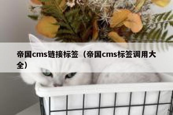 帝国cms链接标签（帝国cms标签调用大全）