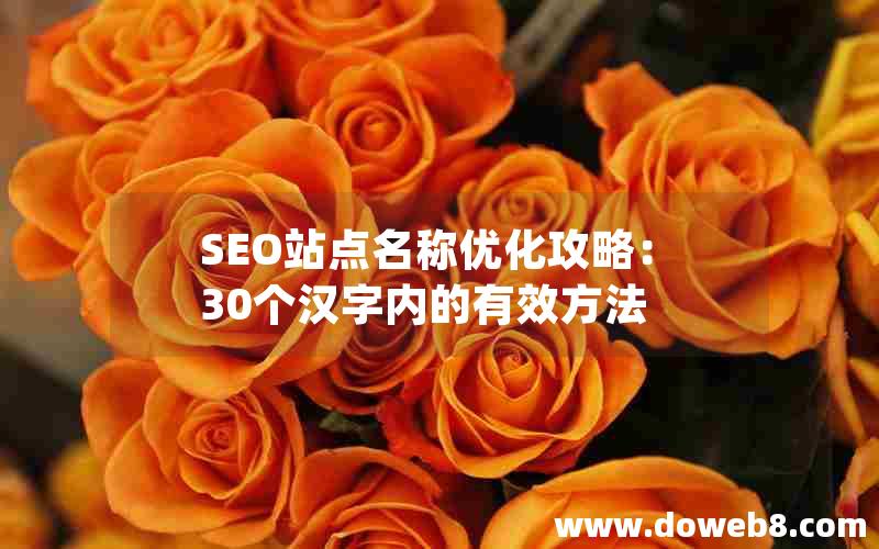 SEO站点名称优化攻略：30个汉字内的有效方法
